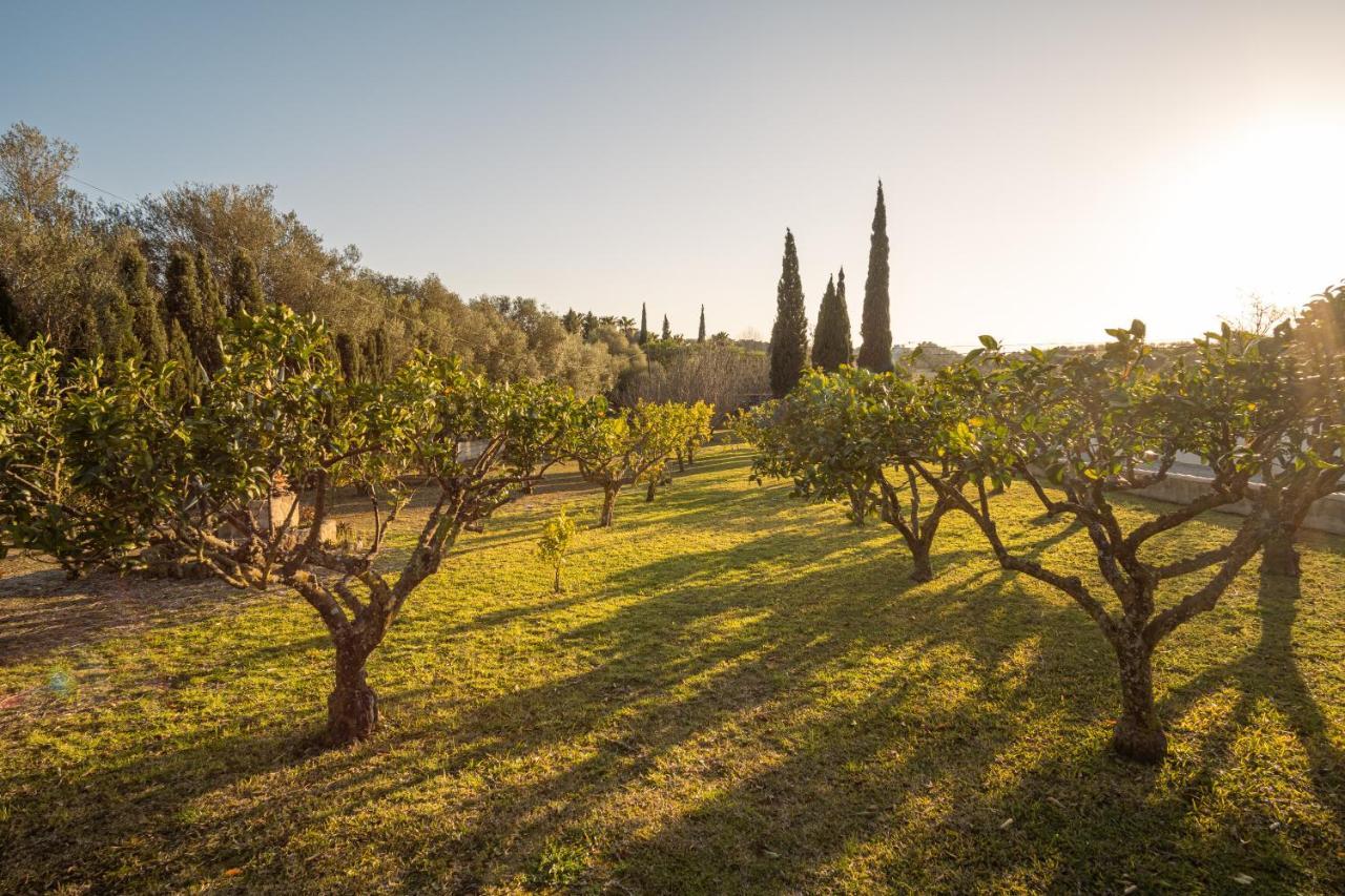 Finca Montana Sant Joan Εξωτερικό φωτογραφία